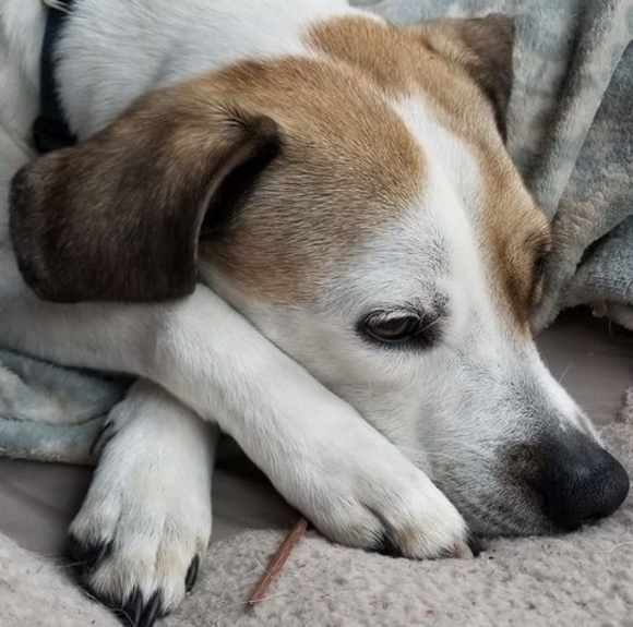 Meet your Posher, Nancy - Picture 1 of 2